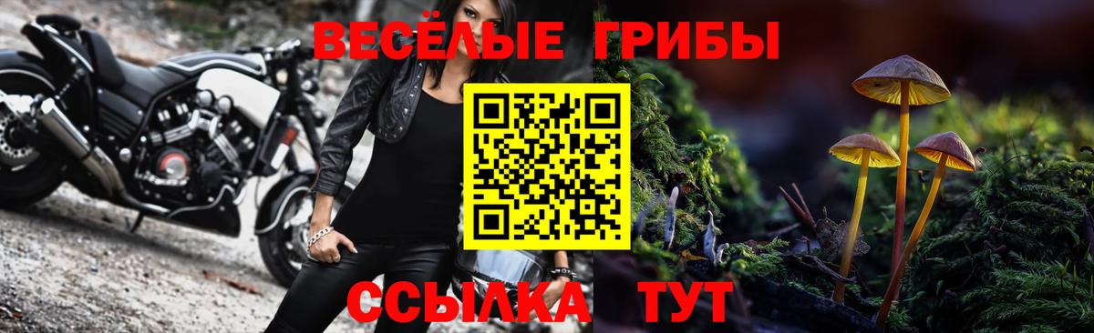 Чебоксары  Галлюциногенные грибы Psilocybe  Вход с VPN 